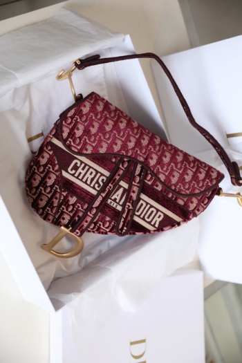 Uubags | Dior Saddle bag in red and white monogram velvet 25x20x6.5cm