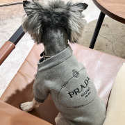 Uubags | Pet Prada sweater - 5