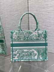 Uubags | Dior Toile De Jouy Canvas Book Tote Bag In Green 26x8x22cm - 2