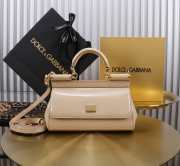 Uubags | Dolce & Gabbana small patent leather Sicily bag in beige 11x18x6cm - 1