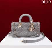 Uubags | Dior M0540 Lady D-Joy Grey Cannage Lambskin Bag 26x13.5x5cm - 1