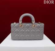 Uubags | Dior M0540 Lady D-Joy Grey Cannage Lambskin Bag 26x13.5x5cm - 4