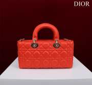 Uubags | Dior M0540 Lady D-Joy Orange Cannage Lambskin Bag 26x13.5x5cm - 4