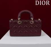 Uubags | Dior M0540 Lady D-Joy Burgundy Cannage Lambskin Bag 26x13.5x5cm - 6