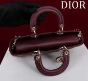 Uubags | Dior M0540 Lady D-Joy Burgundy Cannage Lambskin Bag 26x13.5x5cm - 2