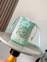 Uubags | Loewe x Paula's Ibiza Anagram Melange Straw Shoulder Bag In Fresh Mint 22x14x6cm - 1