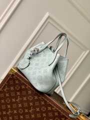 Uubags | Louis Vuitton M21849 Blossom PM Bag In Light Blue 20x20x12.5cm - 6