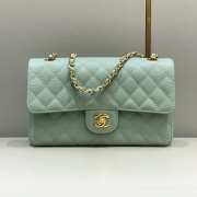 Uubags | Chanel Classic Quilted Flap Mint Green Caviar Gold Hardware 25cm - 1