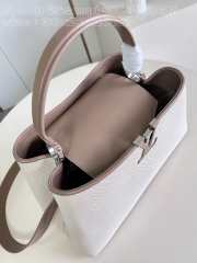 Uubags | Louis Vuitton M24619 Capucines GM Souple Bag In Taupe 38x23x16cm - 6