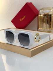 Uubags | Panthère de Cartier sunglasses in black 54-18-140mm - 6