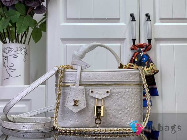 Uubags | Louis Vuitton N85911 Vanity Chain Pouch In White Pearl Color Ostrich leather 19x11.5x6.5cm - 1