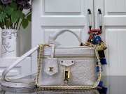 Uubags | Louis Vuitton N85911 Vanity Chain Pouch In White Pearl Color Ostrich leather 19x11.5x6.5cm - 1