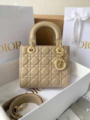 Uubags | Dior Lady Lambskin Gold Buckle Bag M0538 Milk Tea Color 20cm - 1