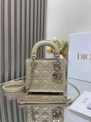 Uubags | Dior Lady Lambskin Bag with Silver Buckle 17cm - 1