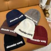 Uubags | Alexander Wang winter knit cap - 1