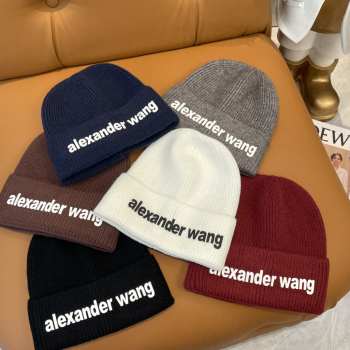 Uubags | Alexander Wang winter knit cap