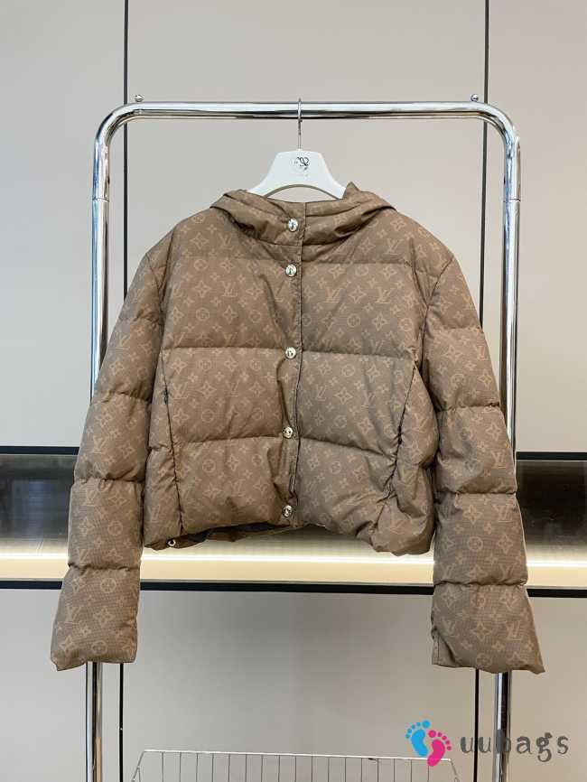 Uubags | Louis Vuitton down jacket in brown - 1