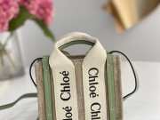 Uubags | Chloe Woody Bag Nano In Light Green 14x12x4cm - 2