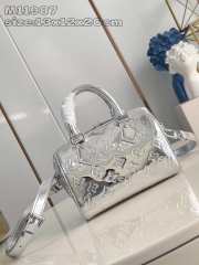 Uubags | Louis Vuitton Speedy Bag Silvery Patent leather 20x15x12.5cm - 1