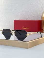 Uubags | Cartier sunglasses  - 6