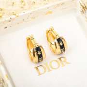 Uubags | Dior earrings 02 - 5