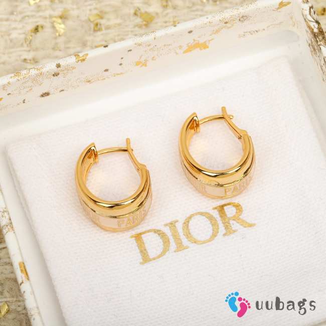 Uubags | Dior earrings 03 - 1