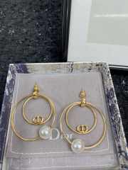 Uubags | Dior earrings 06 - 1