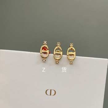 Uubags Dior earrings 01