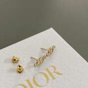 Uubags Dior earrings 01 - 4