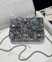 Uubags Chanel Cruise 2024/25 Flap Bag Sequins In Silver 14x21x8cm - 1