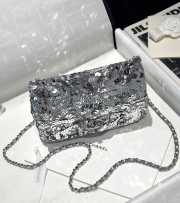 Uubags Chanel Cruise 2024/25 Flap Bag Sequins In Silver 14x21x8cm - 2