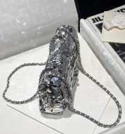 Uubags Chanel Cruise 2024/25 Flap Bag Sequins In Silver 14x21x8cm - 6