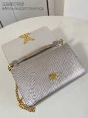 Uubags Louis Vuitton M12789 Pochette Louise Champagne Bag 22x16x4.5cm - 4