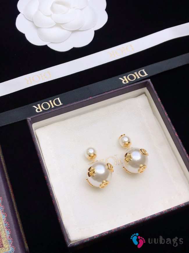 Uubags Dior earrings 08 - 1