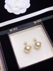 Uubags Dior earrings 08 - 1