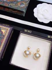 Uubags Dior earrings 08 - 5