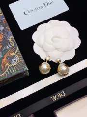 Uubags Dior earrings 08 - 3