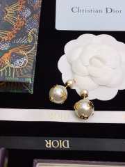 Uubags Dior earrings 08 - 6