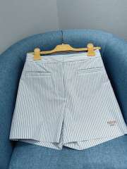 Uubags Fendi light blue cotton and silk shorts - 4