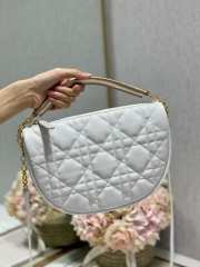 Uubags Dior Christian Bag Vibe Micro Hobo Lambskin 29x20x9cm - 1