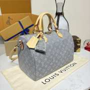Uubags Louis Vuitton M13344 Speedy soft bag silver effect gray 30x21x17cm  - 6