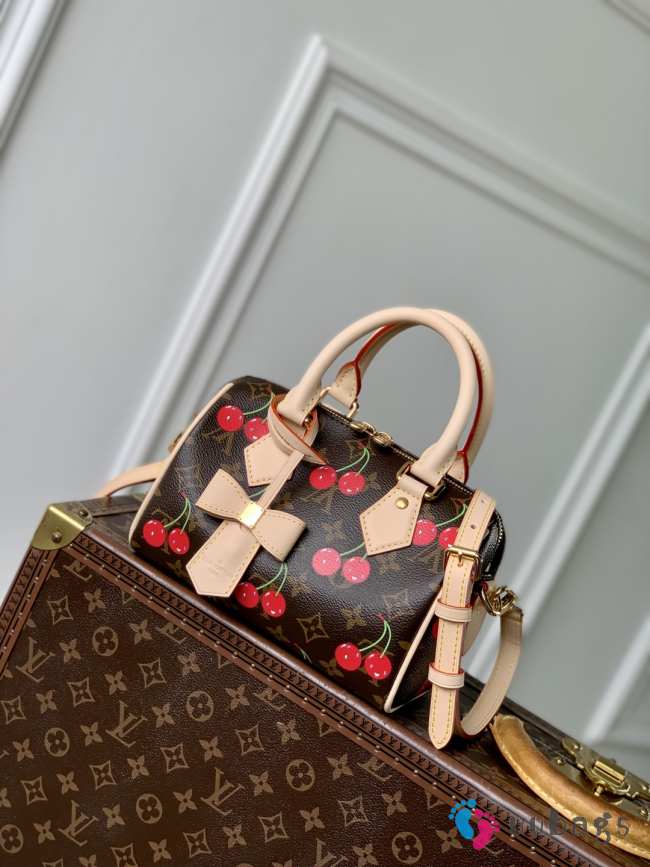 Uubags Louis Vuitton M13094 Speedy Bandoulière LV x TM Bag 20.5x13.5x12cm  - 1