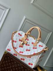 Uubags Louis Vuitton M14238 Speedy Soft 30 LV x TM Bag 21x17x30cm - 1