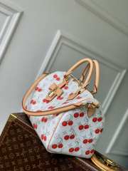Uubags Louis Vuitton M14238 Speedy Soft 30 LV x TM Bag 21x17x30cm - 5