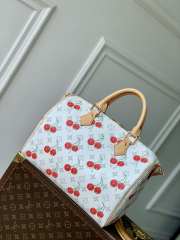 Uubags Louis Vuitton M14238 Speedy Soft 30 LV x TM Bag 21x17x30cm - 2