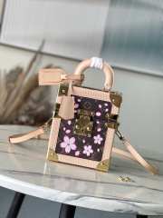 Uubags Louis Vuitton M14173 LV x TM Camera Box Bag Sakura Brown 17.5x21.5x10.5cm - 1