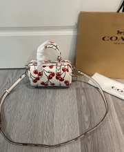 Uubags Coach Mini Rowan Crossbody Bag With Red Cherry Print 18x14x8cm - 6