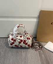 Uubags Coach Mini Rowan Crossbody Bag With Red Cherry Print 18x14x8cm - 1