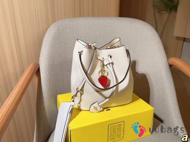Uubags Coach Rowan Bucket Bag In White 22x22x14cm - 1