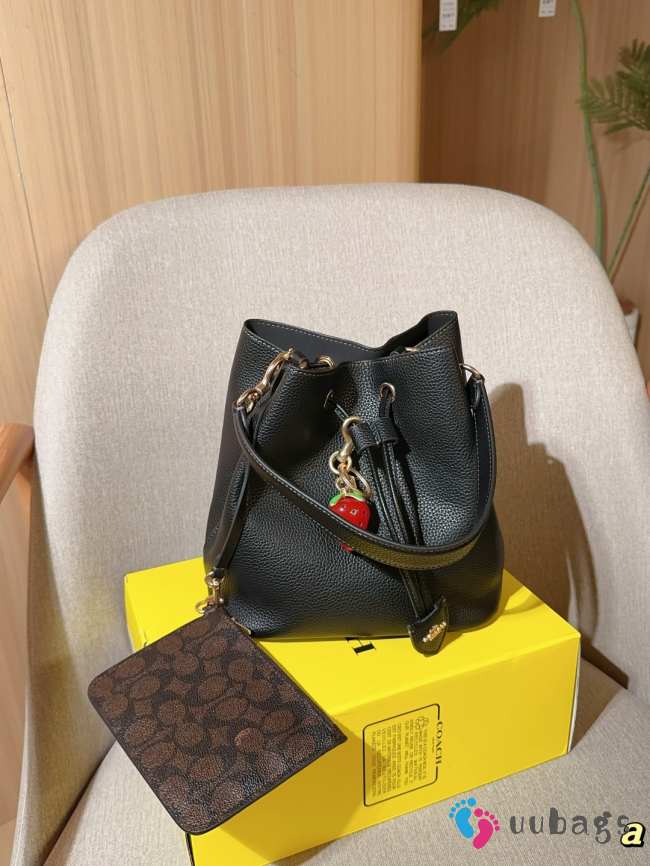 Uubags Coach Rowan Bucket Bag In Black 22x22x14cm - 1